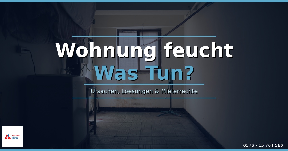 Wohnung feucht was tun